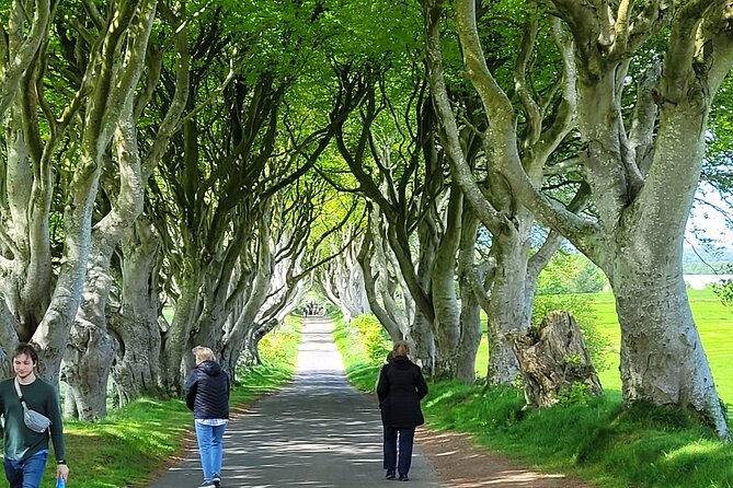 4 Hours Private Belfast City Tours - Queen’s University and Stormont: two big institutions, one efficient route
