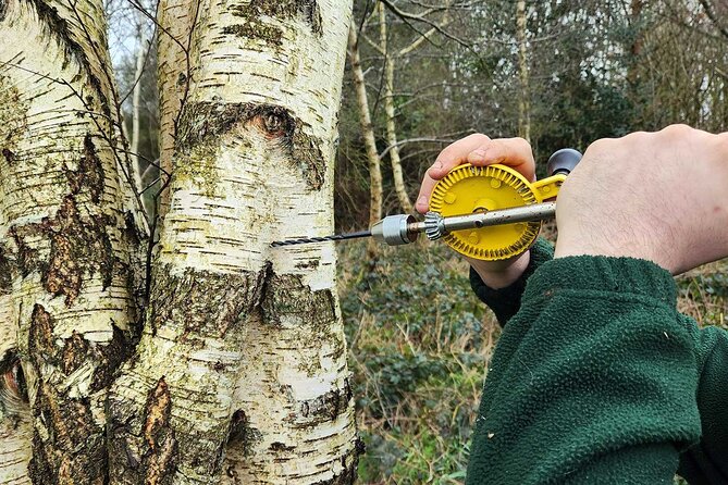Adult Foraging Walk & Bushcraft Cookery Course for Beginners - Key takeaways