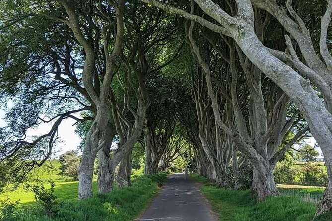Belfast & Giants Causeway Luxury Mercedes Private Tour for 6 pax - Key reasons this private tour works so well