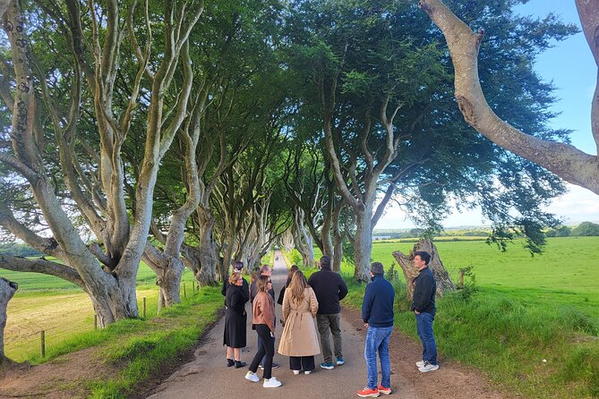Belfast & Giants Causeway Luxury Mercedes Private Tour for 6 pax - Dunluce Castle: a cliffside stop with possible entry fees