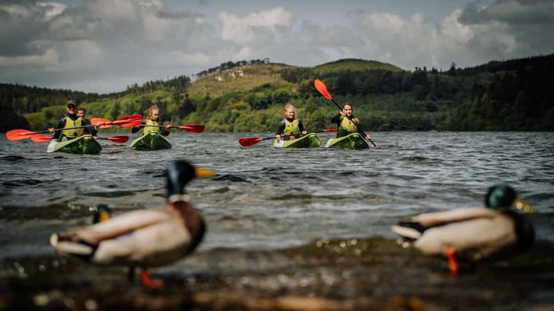 Belfast: Paddle & Play Kayak Experience - Price, group size, and the “who’s this for?” question