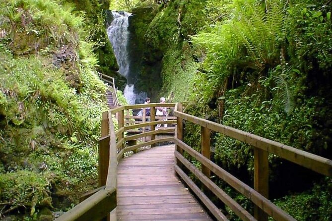 Experience the Antrim Coast and the Land of Giants - Private Tour - Giant’s Causeway: nature views plus a visitor-center decision