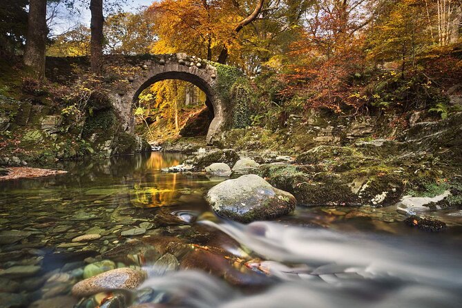 From Belfast: Game of Thrones Winterfell Locations Trek - Tollymore Forest Park: White Walker Scenes and the Direwolf Story