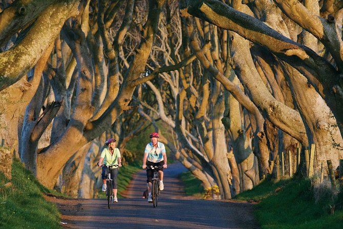 From Belfast-Giants Causeway, Dunluce Castle and Dark Hedges tour - Price and value, what $69.45 really buys you