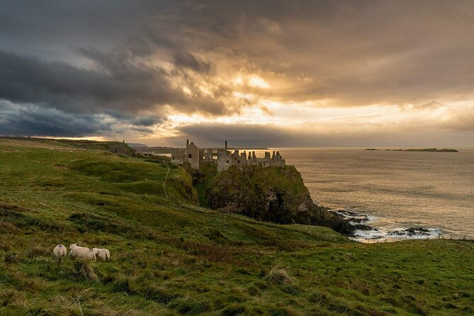 Full Day Private Luxury Tour of Causeway Coast (Giants Causeway) - The 8:00 am Start and How the Route Stays Manageable