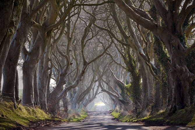 Full-day private tour from Game of Thrones Odyssey - Londonderry pickup stop: where the day gets organized