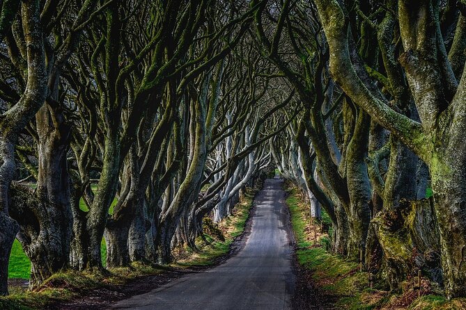 Full-Day Private Tour of Giants Causeway with Pick Up - County Antrim Driving Time: How the Route Really Feels
