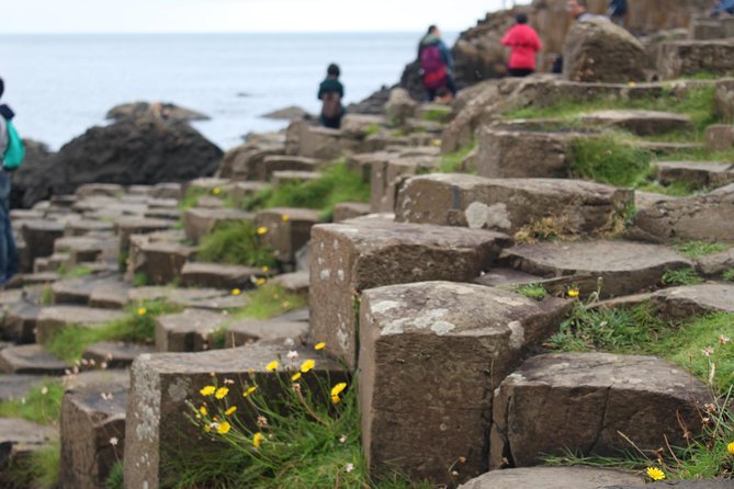 Game of Thrones and Giant's Causeway Day Tour from Belfast - Giant’s Causeway and Renly Baratheon camp area: the main event with real walking