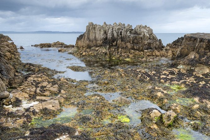 Game of Thrones and Giant's Causeway Full-Day Tour from Belfast - Game of Thrones stories on the open road from Belfast
