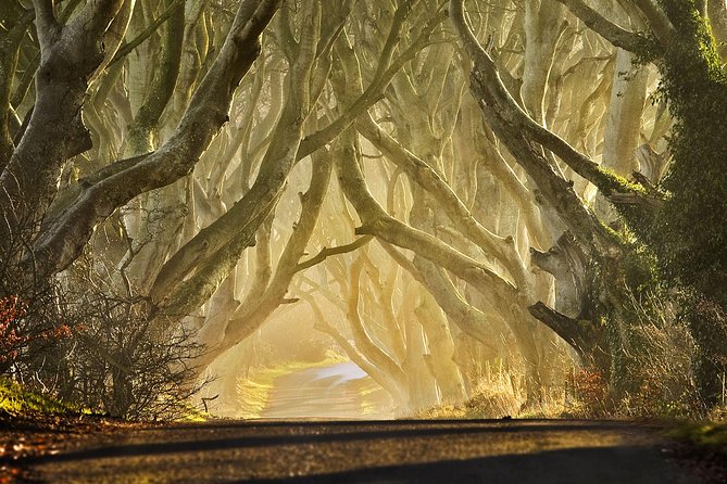 Game of Thrones - Private Audi A6 tour with Richard the Wildling - Who this tour suits best, and who might want a different day