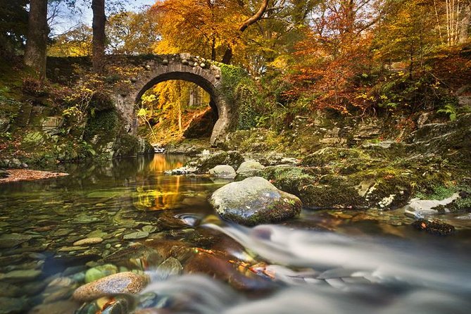 Game of Thrones - Tollymore Forest Trek - Stop 3: the bridge where the Starks find the direwolf pups