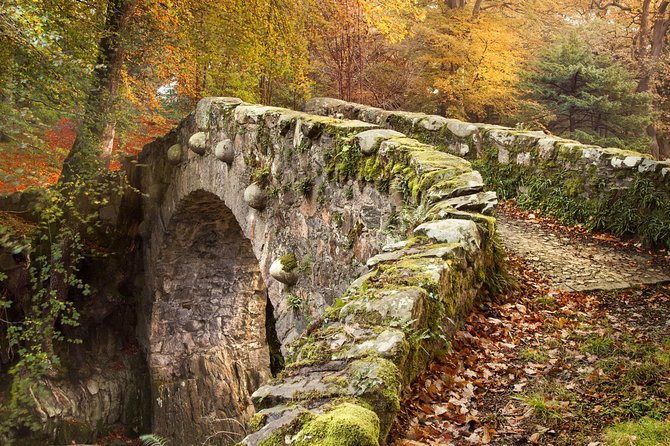Game of Thrones - Tollymore Forest Trek - The guide makes it: small group, lots of show context