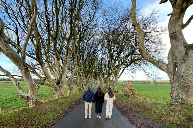 Giant’s Causeway, Luxury Private Tour from Belfast, 1-7 people - Planning your day: timing, what to expect, and how to use the flexibility