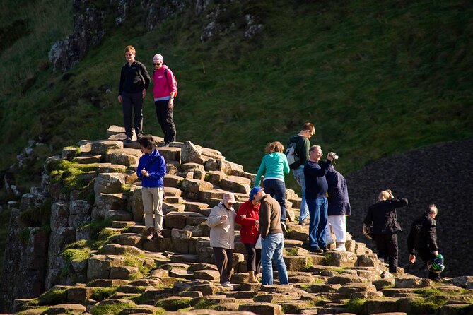 Giants Causeway & Castles Tour from Belfast: Guided tour - Dark Hedges, the Kingsroad trees, and smart lunch planning