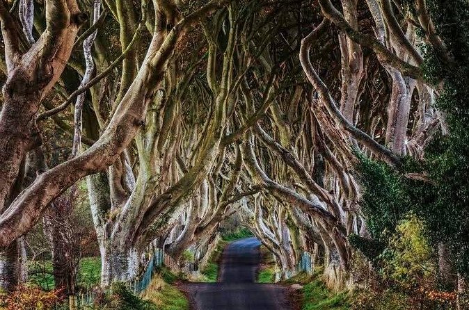 Giants Causeway Private Tour - Ballintoy Harbour: quick time at the Game of Thrones coastline