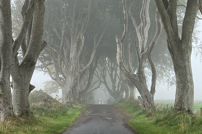 Giants Causeway Tour from Belfast in luxury 7 seater - Dunluce Castle ruins: cliffs, drama, and sea views