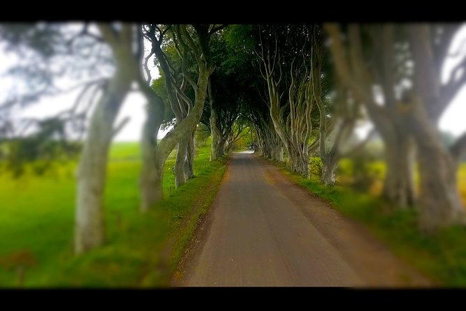 Guided Day Tour of Giant's Causeway from Belfast by Comfortable Coach - Carrick-a-Rede, Portaneevy, and the coast viewpoints that do the selling