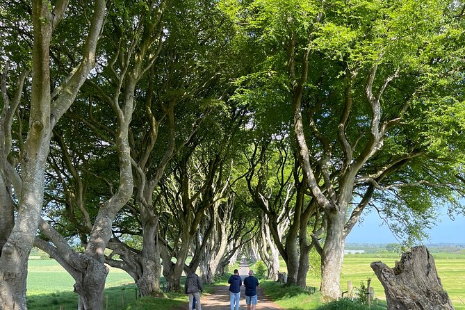 Luxury Tour of Giants Causeway from Belfast - Price and Value: What You Get for $755.19 Per Group