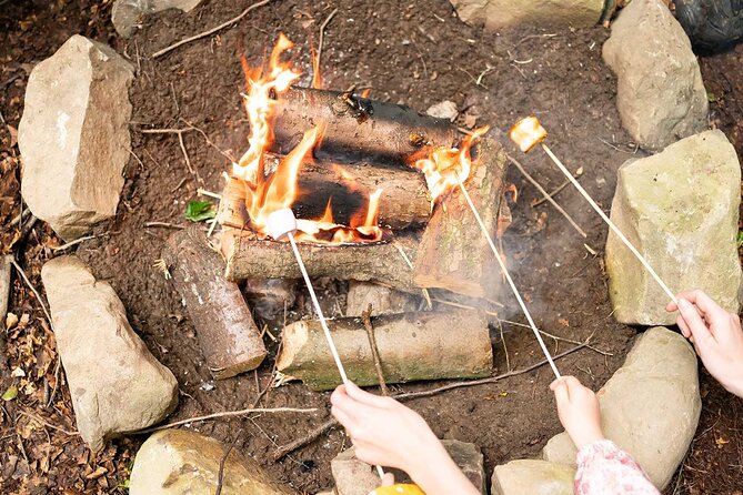 Muddy Tots Go Wild Forest School Ballynahinch County Down - Weather Reality: All-Weather Tent, But Plan for Rain