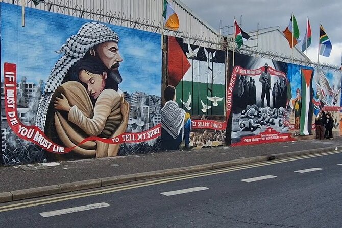 Private Belfast city & peace wall tour - Belfast Castle stop, 30 minutes of smart pacing