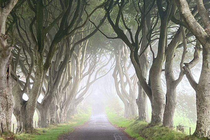 Private Coast Tour in Belfast - Price and value: what $825.22 per group really means
