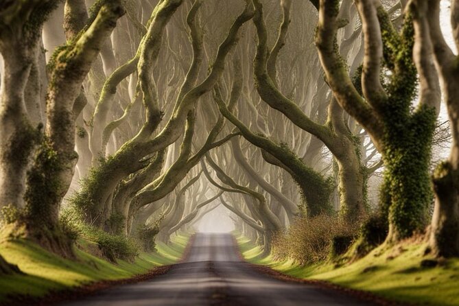 Private Giant's Causeway Day Trip and Game of Thrones Locations - White Park Bay, Ballintoy Harbour, and the Iron Islands feel