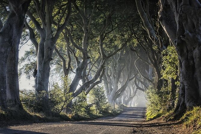 Private Tour - Causeway, Castles & Whiskey Tour - Game of Thrones - Pickup, Meeting Point, and How You Start Smoothly