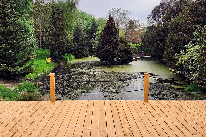 Scenic Restorative Yoga Class County Down in Ballynahinch - What’s Included, What Costs Extra, and How to Prepare