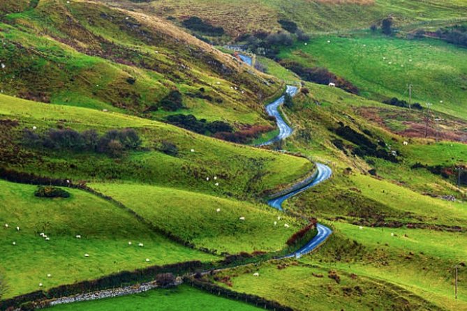 Shore Excursion: Giants Causeway and Belfast City Tour - Meeting at Sixt Cruise Port, and why this plan is built for timing