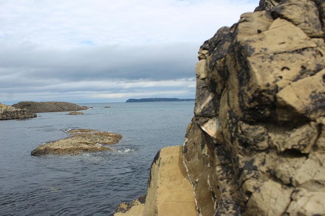 Small Group Giant's Causeway Day Tour from Belfast - Giants Causeway: your 3-hour base for basalt and viewpoints