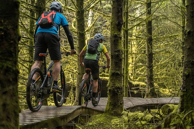 Unforgettable beauty of Northern Ireland from an E-Bike - Castlewellan Forest Park, Donard trails, and the easy-to-build day